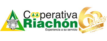 RIACHON | Sitio Web